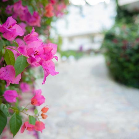 Bougainville Bay Apartments Sarandë Buitenkant foto